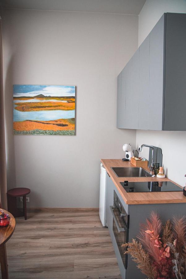 Cozy Studio By The City Centre Apartamento Reykjavík Exterior foto